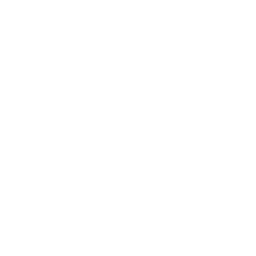Cobra Performance Boats